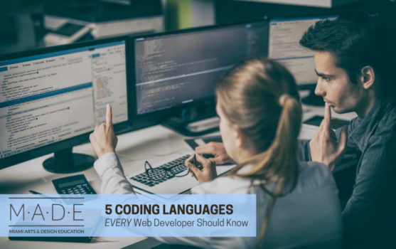 5 Coding Languages Every Web Developer Should Know